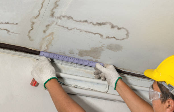 Reliable Water Damage contractor in Pinckney, MI by Water Damage Irwin